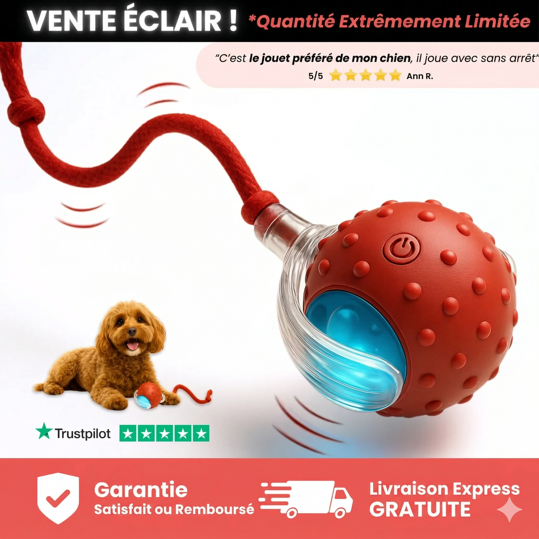 TinyFetch™ – Balle interactive